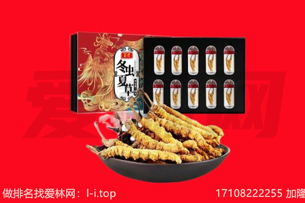 肇庆回收虫草.jpg